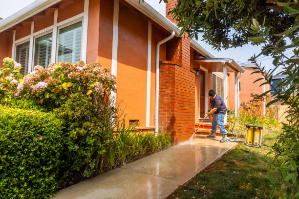 Best Deck Cleaning Services  in Chelsea, MA